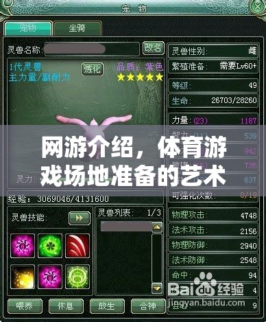 網(wǎng)游介紹，體育游戲場地準(zhǔn)備的藝術(shù)與策略攻略