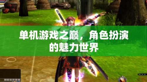 單機(jī)游戲之巔，角色扮演世界的奇幻魅力