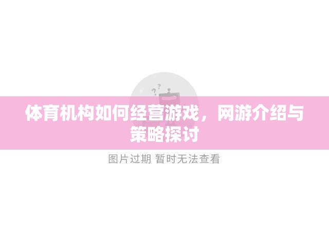 體育機(jī)構(gòu)如何經(jīng)營游戲，網(wǎng)游介紹與策略探討