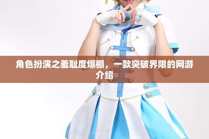 角色扮演之羞恥度爆棚，一款突破界限的網(wǎng)游介紹
