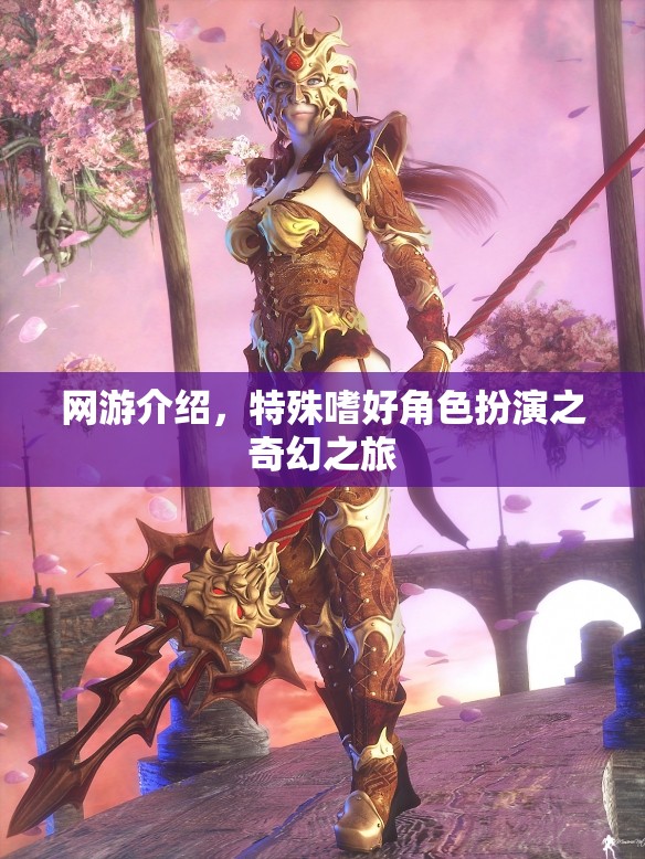 網(wǎng)游介紹，特殊嗜好角色扮演之奇幻之旅