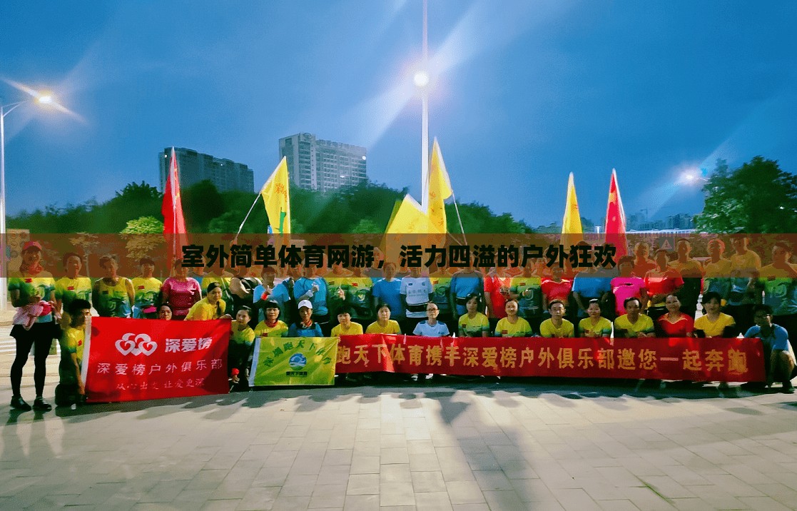 室外簡(jiǎn)單體育網(wǎng)游，活力四溢的戶外狂歡