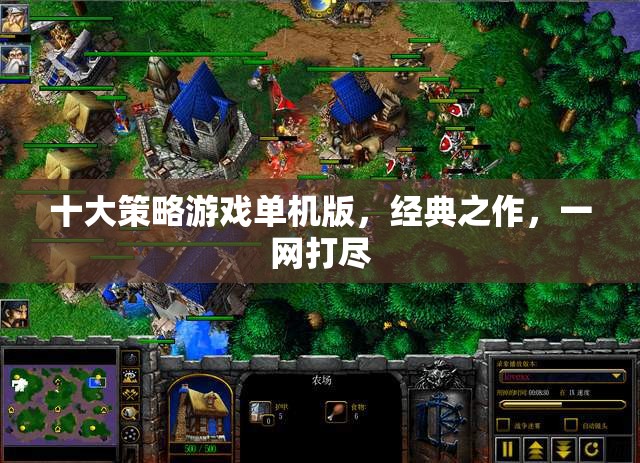 十大策略游戲單機版，經(jīng)典之作，一網(wǎng)打盡