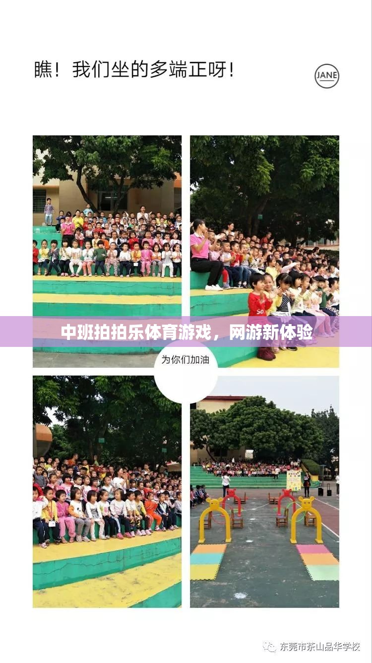 中班拍拍樂(lè)體育游戲，網(wǎng)游新體驗(yàn)  第2張
