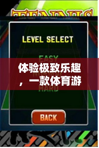 體驗極致樂趣，一款體育游戲網(wǎng)游的全方位介紹