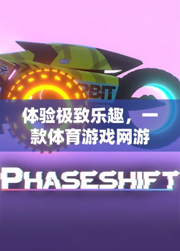 體驗極致樂趣，一款體育游戲網(wǎng)游的全方位介紹