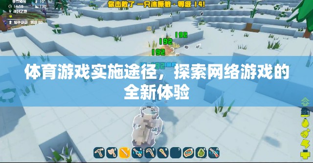體育游戲?qū)嵤┩緩?，探索網(wǎng)絡(luò)游戲的全新體驗