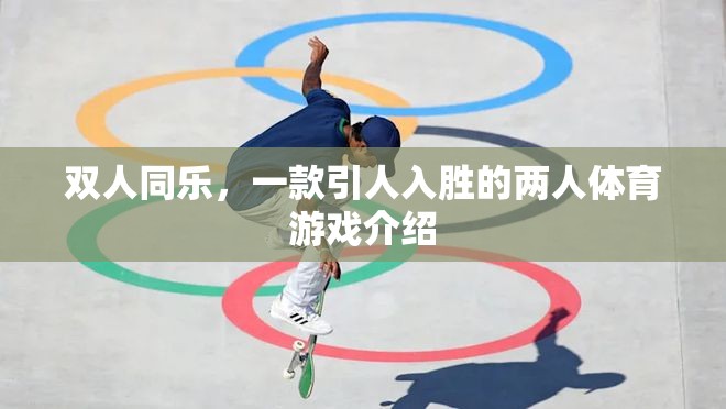 雙人同樂(lè)，一款引人入勝的兩人體育游戲介紹  第1張