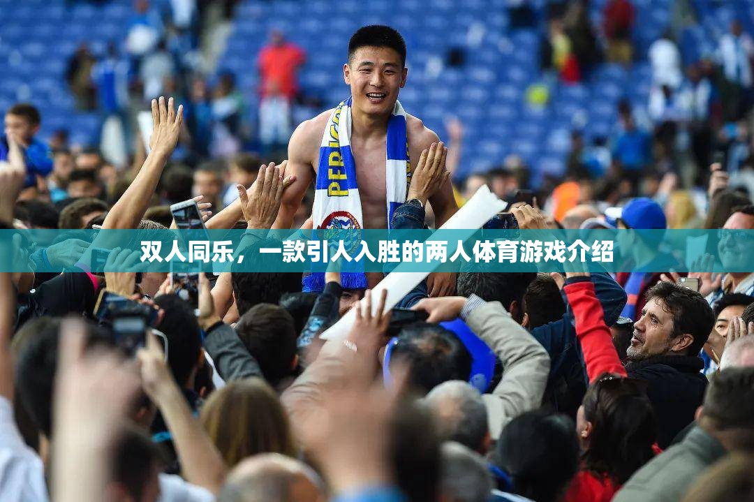 雙人同樂(lè)，一款引人入勝的兩人體育游戲介紹  第2張