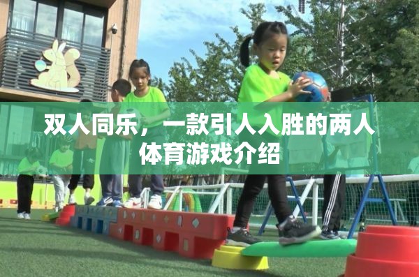 雙人同樂(lè)，一款引人入勝的兩人體育游戲介紹  第3張