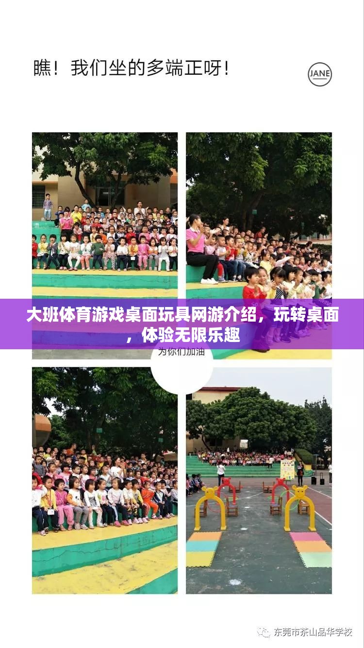 大班體育游戲桌面玩具網游介紹，玩轉桌面，體驗無限樂趣