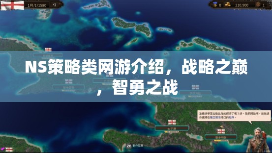 NS策略類網(wǎng)游介紹，戰(zhàn)略之巔，智勇之戰(zhàn)