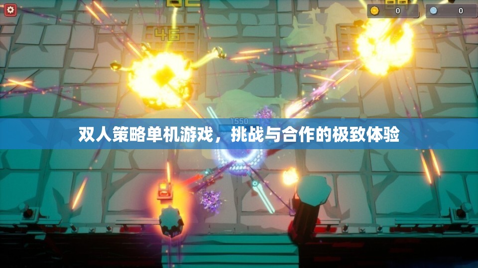雙人策略單機(jī)游戲，挑戰(zhàn)與合作的極致體驗(yàn)  第2張