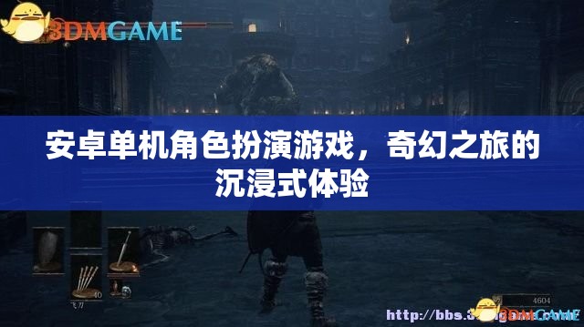 安卓單機(jī)角色扮演游戲，奇幻之旅的沉浸式體驗
