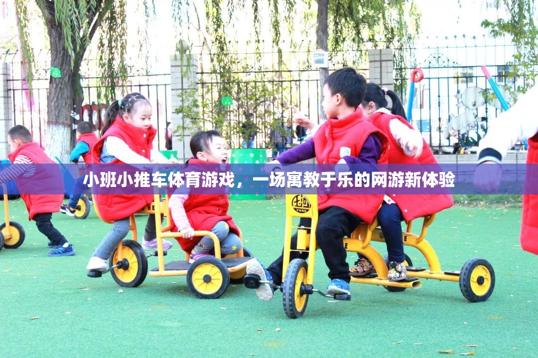 小班小推車體育游戲，一場寓教于樂的網(wǎng)游新體驗(yàn)  第2張