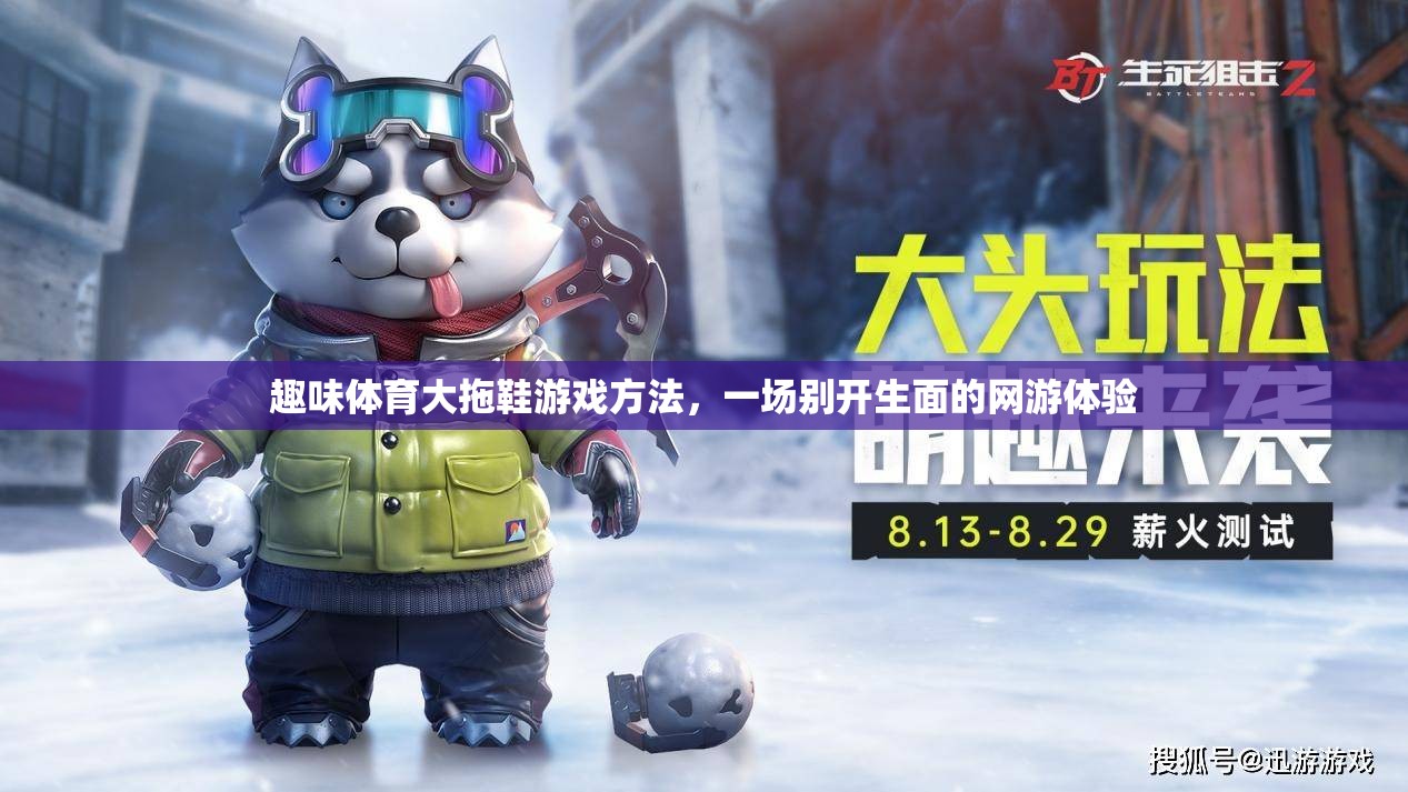 趣味體育大拖鞋游戲方法，一場別開生面的網(wǎng)游體驗