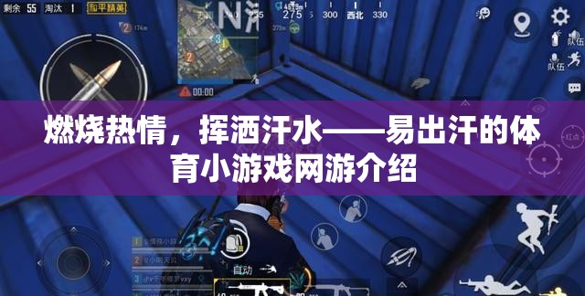 燃燒熱情，揮灑汗水——易出汗的體育小游戲網游介紹