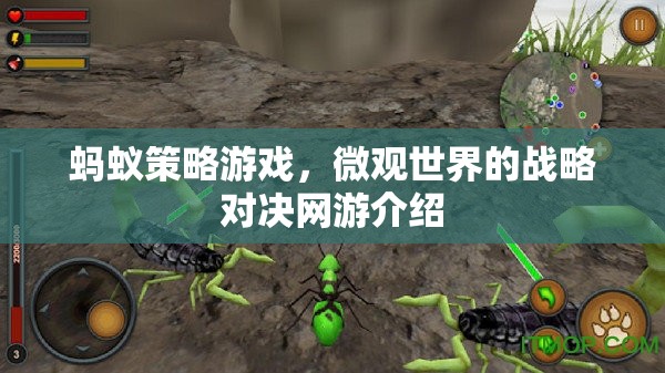 螞蟻策略游戲，微觀世界的戰(zhàn)略對決網(wǎng)游介紹
