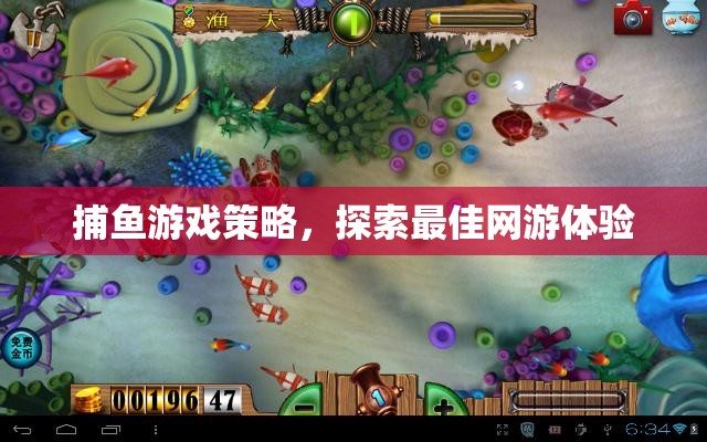 捕魚游戲策略，探索最佳網(wǎng)游體驗(yàn)