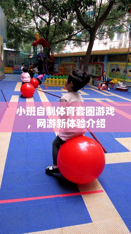 小班自制體育套圈游戲，網(wǎng)游新體驗(yàn)介紹