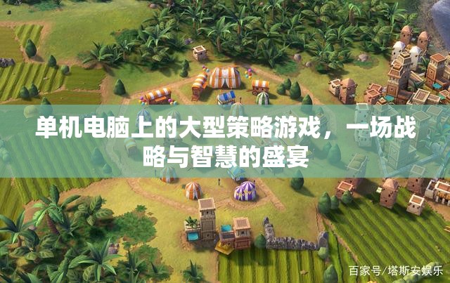 單機電腦上的大型策略游戲，一場戰(zhàn)略與智慧的盛宴  第1張