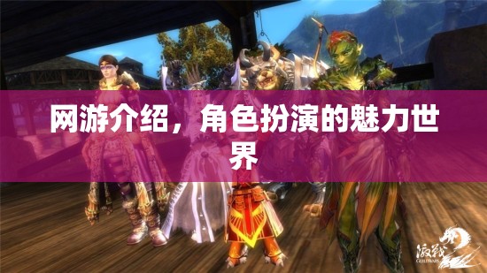 網(wǎng)游介紹，角色扮演的魅力世界  第1張