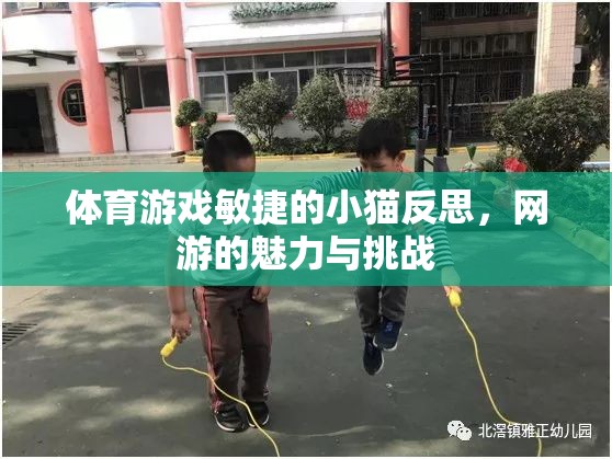 體育游戲敏捷的小貓反思，網(wǎng)游的魅力與挑戰(zhàn)  第1張