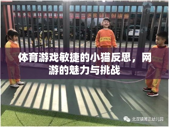 體育游戲敏捷的小貓反思，網(wǎng)游的魅力與挑戰(zhàn)  第2張