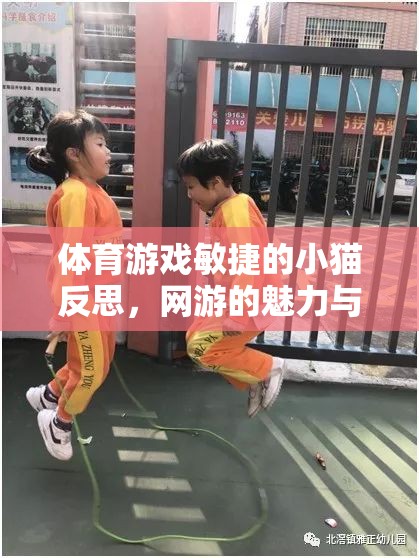 體育游戲敏捷的小貓反思，網(wǎng)游的魅力與挑戰(zhàn)  第3張
