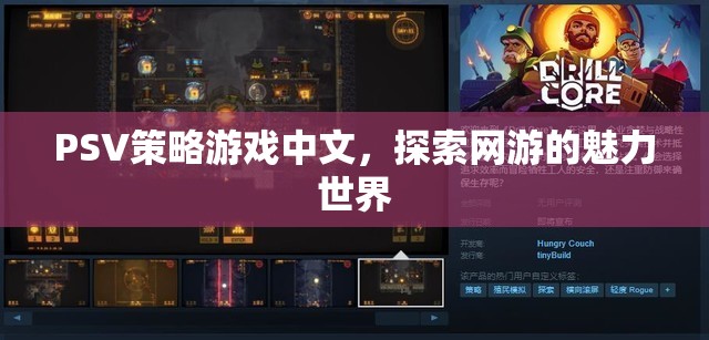 PSV策略游戲中文，探索網(wǎng)游的魅力世界