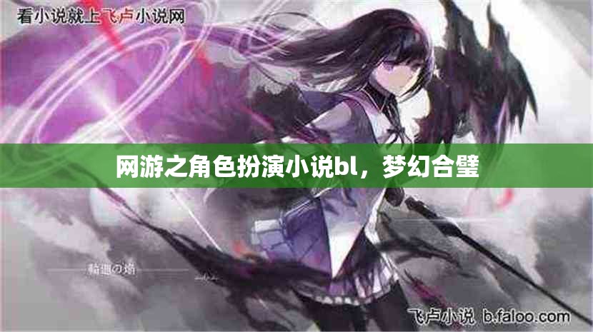 網(wǎng)游之角色扮演小說bl，夢幻合璧
