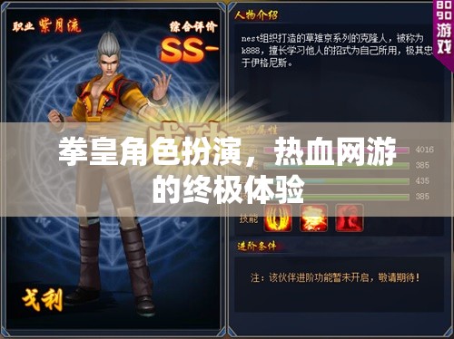 拳皇角色扮演，熱血網(wǎng)游的終極體驗  第2張