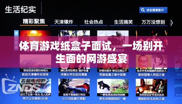 體育游戲紙盒子面試，一場別開生面的網(wǎng)游盛宴