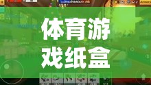 體育游戲紙盒子面試，一場別開生面的網(wǎng)游盛宴