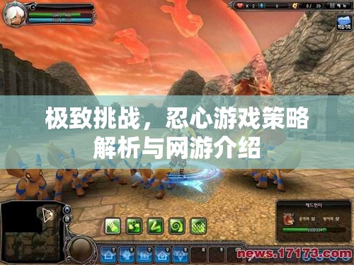 極致挑戰(zhàn)，忍心游戲策略解析與網(wǎng)游介紹