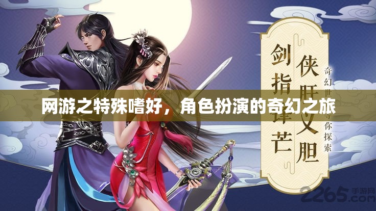 網(wǎng)游之特殊嗜好，角色扮演的奇幻之旅