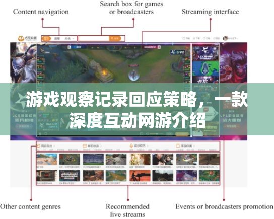 游戲觀察記錄回應(yīng)策略，一款深度互動(dòng)網(wǎng)游介紹