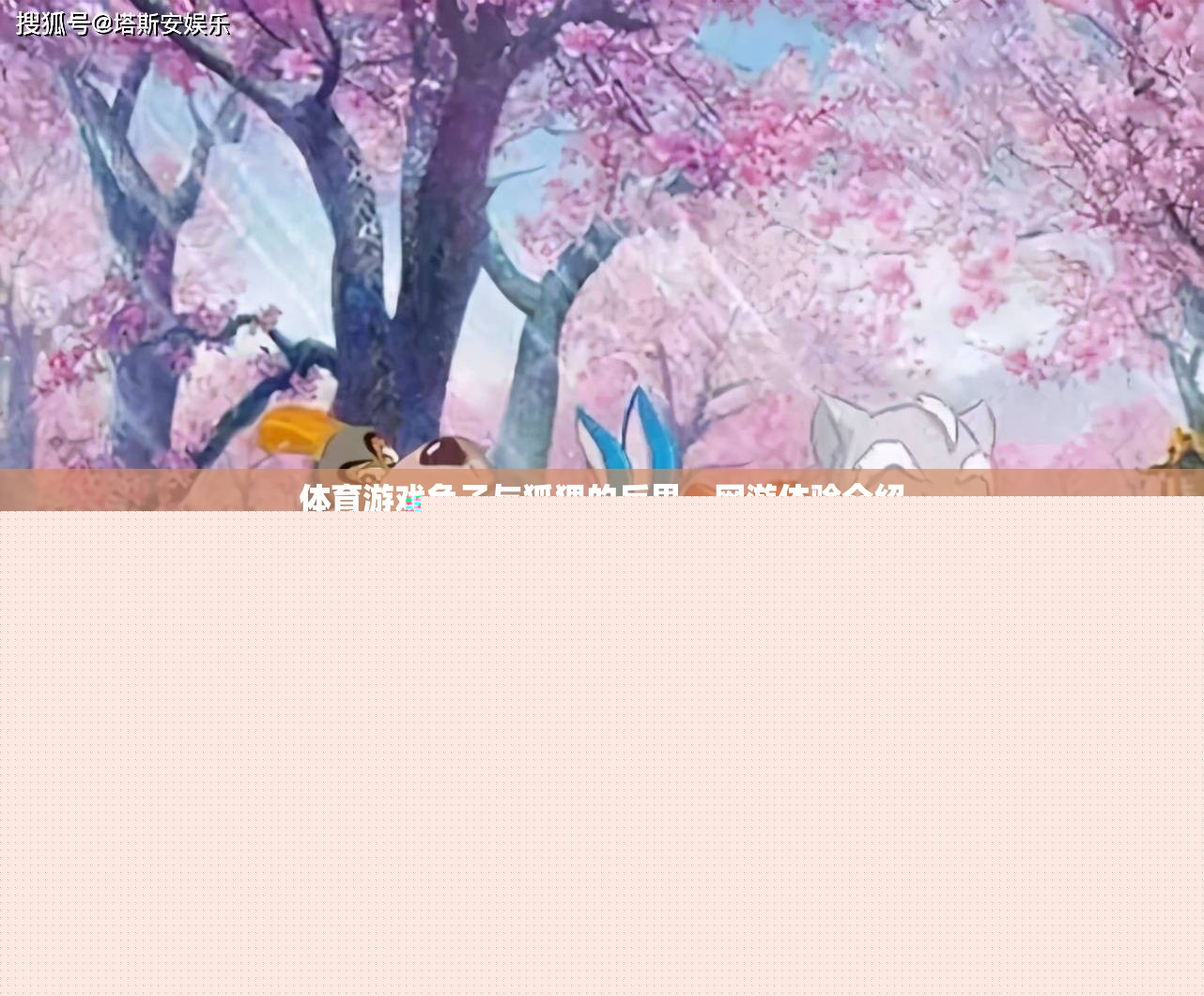 體育游戲兔子與狐貍的反思，網(wǎng)游體驗(yàn)介紹