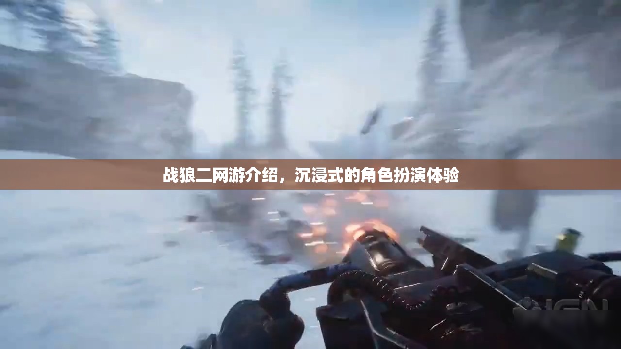戰(zhàn)狼二網(wǎng)游介紹，沉浸式的角色扮演體驗  第1張