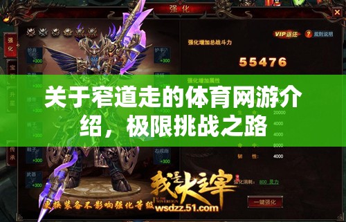 關(guān)于窄道走的體育網(wǎng)游介紹，極限挑戰(zhàn)之路