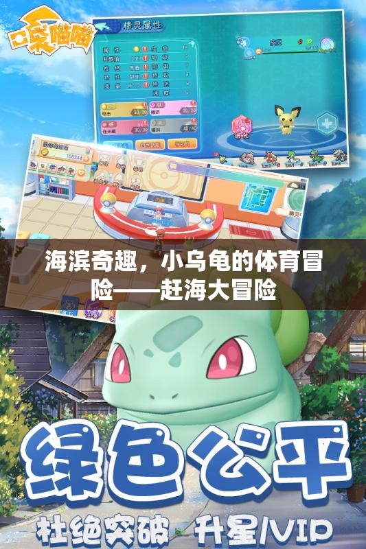 海濱奇趣，小烏龜?shù)内s海大冒險(xiǎn)  第3張