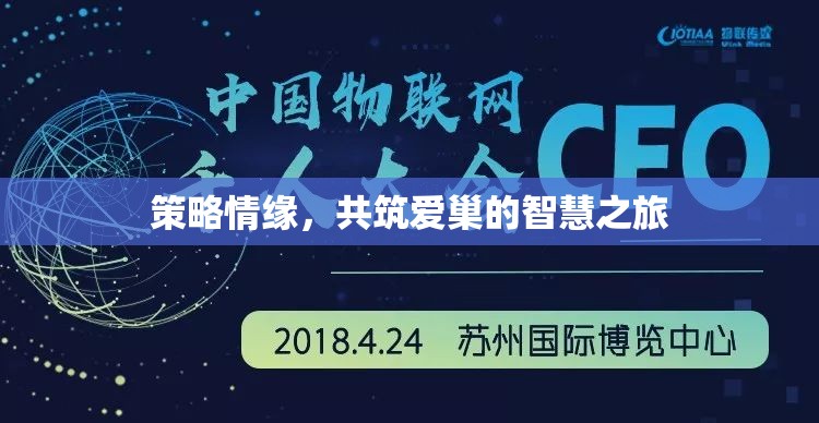 策略與情感交織，共筑愛(ài)巢的智慧之旅