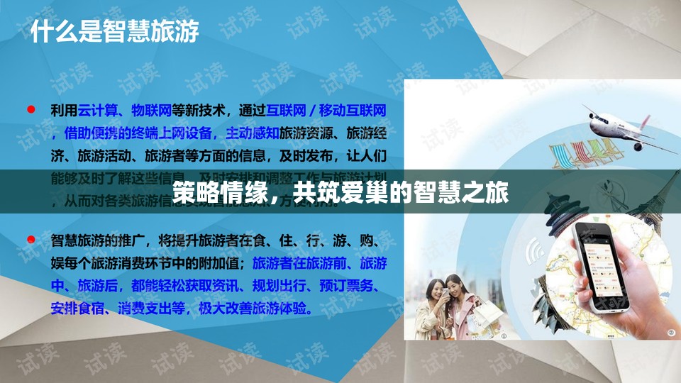 策略與情感交織，共筑愛(ài)巢的智慧之旅