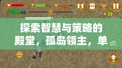 孤島領(lǐng)主，探索智慧與策略的安卓策略游戲深度解析