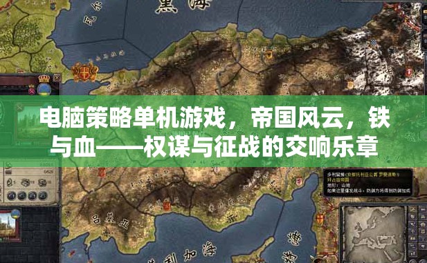 帝國風(fēng)云，鐵與血——權(quán)謀與征戰(zhàn)的交響樂章