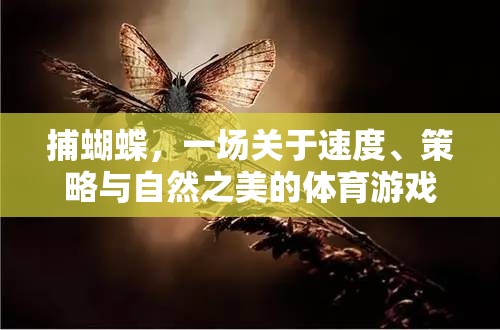 捕蝴蝶，一場關(guān)于速度、策略與自然之美的體育游戲