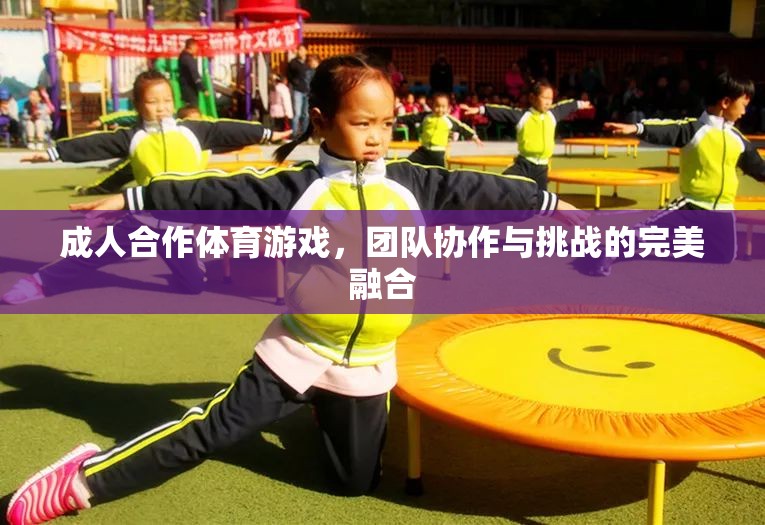 成人合作體育游戲，團(tuán)隊(duì)協(xié)作與挑戰(zhàn)的完美融合