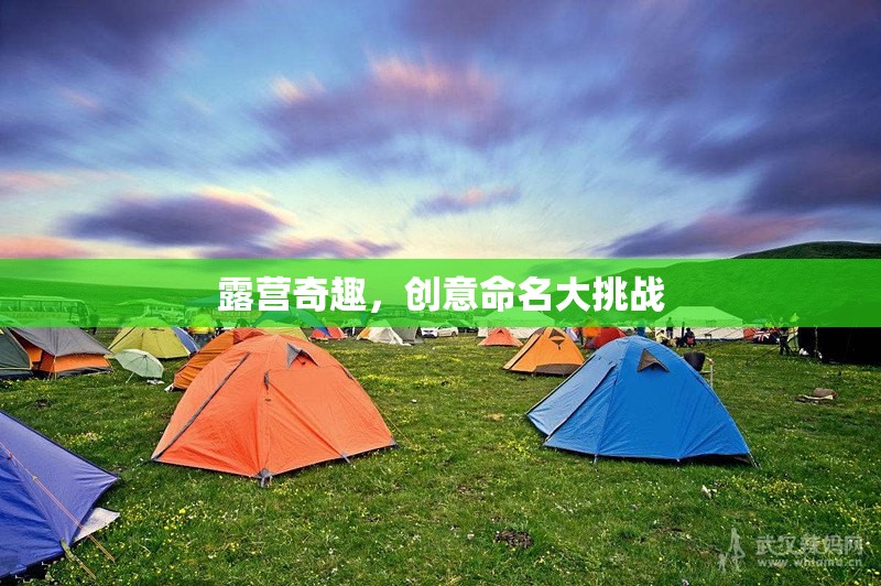 露營奇趣，創(chuàng)意命名大挑戰(zhàn)