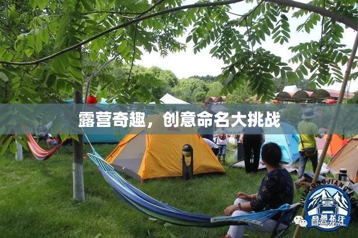露營奇趣，創(chuàng)意命名大挑戰(zhàn)