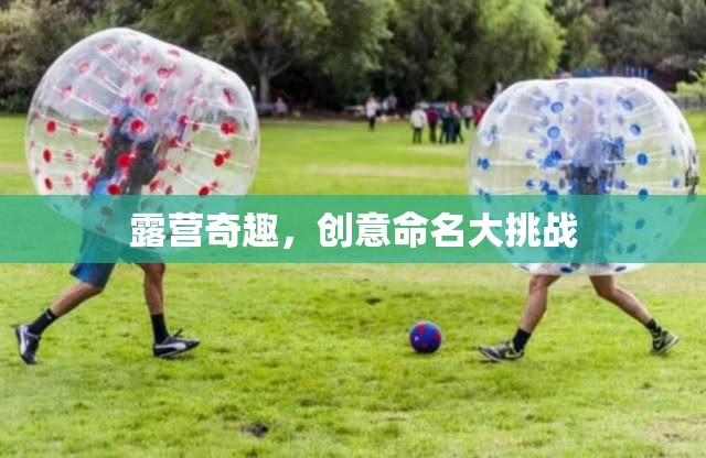 露營奇趣，創(chuàng)意命名大挑戰(zhàn)